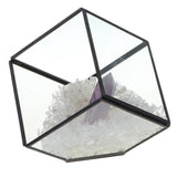 Max Natural Rock Mineral Collection Geology Earth Science Kit Ornament Purple
