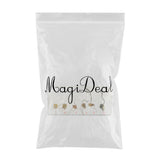 Maxbell Corn Germination Specimen Biology Science Classroom Specimens Collectible