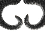 Maxbell Simulation Black Sheep Horns Costume Accessory for DIY Hair Headband 9x8cm