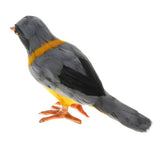Maxbell Simulation Kingfisher Model Kids Toy for Home Garden Ornaments Collection