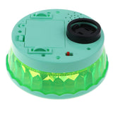 Maxbell Cartoon Rotating Projector Electric Animal with Music & Light Green Dog