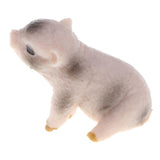 Maxbell Plastic Piggy Model Figurine Action Figure Kids Toy Gift Ornament Set of 5