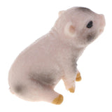 Maxbell Plastic Piggy Model Figurine Action Figure Kids Toy Gift Ornament Set of 5