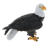 Maxbell Realistic Owl Eagle Model Action Figures Kids Toy Gift Home Decor Set of 4