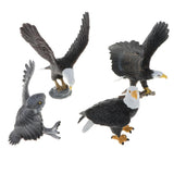 Maxbell Realistic Owl Eagle Model Action Figures Kids Toy Gift Home Decor Set of 4