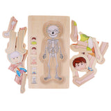 Maxbell 5-Layer Wooden Puzzle Boy Body Structure Jigsaw Puzzle Kids Educational Toy