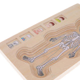Maxbell 5-Layer Wooden Puzzle Boy Body Structure Jigsaw Puzzle Kids Educational Toy