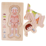 Maxbell 5-Layer Wooden Puzzle Boy Body Structure Jigsaw Puzzle Kids Educational Toy