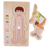 Maxbell 5-Layer Wooden Puzzle Boy Body Structure Jigsaw Puzzle Kids Educational Toy