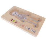 Maxbell 5-Layer Wooden Puzzle Boy Body Structure Jigsaw Puzzle Kids Educational Toy