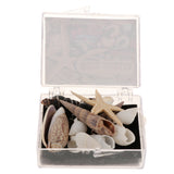 Maxbell Natural Sea Shells Fossils Collection Biology Specimens Science Kit Ornament
