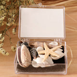 Maxbell Natural Sea Shells Fossils Collection Biology Specimens Science Kit Ornament