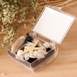 Maxbell Natural Sea Shells Fossils Collection Biology Specimens Science Kit Ornament