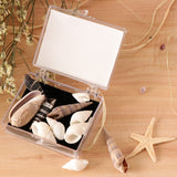 Maxbell Natural Sea Shells Fossils Collection Biology Specimens Science Kit Ornament