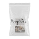 Maxbell Natural Sea Shells Fossils Collection Biology Specimens Science Kit Ornament