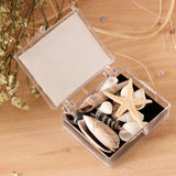 Maxbell Natural Sea Shells Fossils Collection Biology Specimens Science Kit Ornament