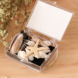 Maxbell Natural Sea Shells Fossils Collection Biology Specimens Science Kit Ornament