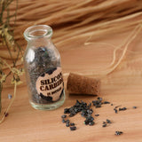 Maxbell Mini Gemstone & Mineral Bottle Collection Kit Home Decor Silicon Carbide