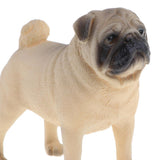 Maxbell Lifelike Wild Animal Model Figure Toy Figurine Home Decor Shar Pei
