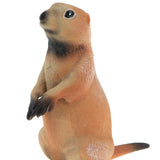 Maxbell Lifelike Wild Animal Model Figure Toy Figurine Home Decor Marmot B