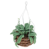 Max 1/12 Dollhouse Miniature Hanging Plant with Basket Fairy Garden Accessories