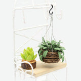 Max 1/12 Dollhouse Miniature Hanging Plant with Basket Fairy Garden Accessories