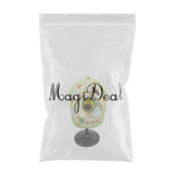 Max Maxb 1pc Typical Plant Cell Model Cross-Section Scientific Teaching Aids Supplies