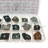 Max Igneous Rock Specimen Igneous Real Stone Teaching Aid w/ Box Ages 8 up