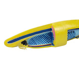 Max Life Size Biological Anatomical Amphioxus Fish Model Teaching Materials