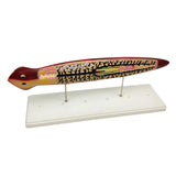 Max Biological Anatomical Planaria Insect Model Teaching Display Lab Supplies