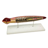 Max Biological Anatomical Planaria Insect Model Teaching Display Lab Supplies