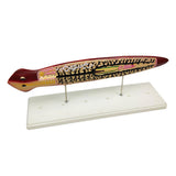 Max Biological Anatomical Planaria Insect Model Teaching Display Lab Supplies