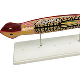 Max Biological Anatomical Planaria Insect Model Teaching Display Lab Supplies