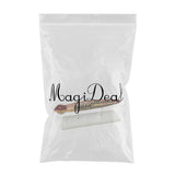 Max Biological Anatomical Planaria Insect Model Teaching Display Lab Supplies