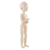 Maxbell 1/6 Jointed Doll Body with Head Parts for BJD Doll Accessories