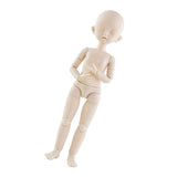 Maxbell 1/6 Jointed Doll Body with Head Parts for BJD Doll Accessories