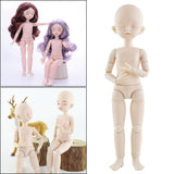 Maxbell 1/6 Jointed Doll Body with Head Parts for BJD Doll Accessories