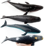 Maxbell Realistic Whale Animal Model Education Soft Figure Kids Toy Sperm Whale