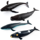 Maxbell Realistic Whale Animal Model Education Soft Figure Kids Toy Sperm Whale