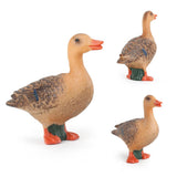 Maxbell 4pcs Poultry Realistic Farm Animal Model Figurines Miniatures Statue Toy