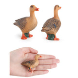 Maxbell 4pcs Poultry Realistic Farm Animal Model Figurines Miniatures Statue Toy