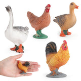 Maxbell 4pcs Poultry Realistic Farm Animal Model Figurines Miniatures Statue Toy