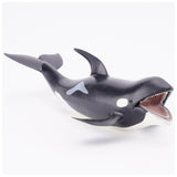 Maxbell Marine Animal Simulation Model Children's Solid Toys Killer Whale