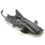 Maxbell Marine Animal Simulation Model Children's Solid Toys Whale Shark