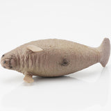 Maxbell Marine Animal Simulation Model Children's Solid Toys Manatee