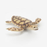 Maxbell Marine Animal Simulation Model Children's Solid Toys Sea Turtle