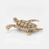 Maxbell Marine Animal Simulation Model Children's Solid Toys Sea Turtle