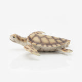 Maxbell Marine Animal Simulation Model Children's Solid Toys Sea Turtle