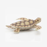 Maxbell Marine Animal Simulation Model Children's Solid Toys Sea Turtle