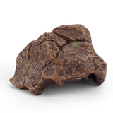 Maxbell Plastic Stone Tree Trunks Fake Rock Model Diorama Dinosaur Accessories